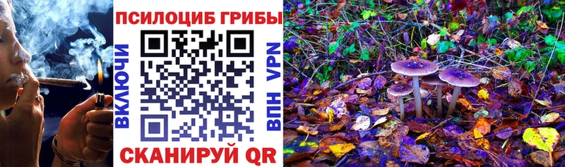 Галлюциногенные грибы мухоморы  Нюрба 